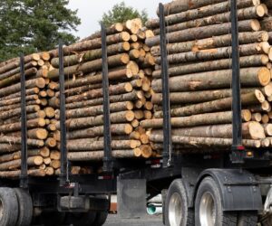 NOUVELLE RÉGLEMENTATION POUR LE TRANSPORT DU BOIS ÉNERGIE AU BÉNIN : Les nouvelles innovation dans le secteur forestier