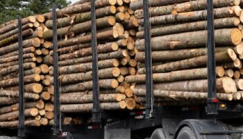 NOUVELLE RÉGLEMENTATION POUR LE TRANSPORT DU BOIS ÉNERGIE AU BÉNIN : Les nouvelles innovation dans le secteur forestier