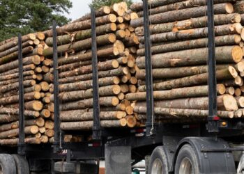 NOUVELLE RÉGLEMENTATION POUR LE TRANSPORT DU BOIS ÉNERGIE AU BÉNIN : Les nouvelles innovation dans le secteur forestier